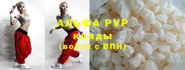 гашик Пересвет