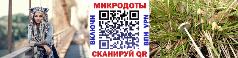 блэк спрут как зайти  Оханск  Псилоцибиновые грибы Magic Shrooms 