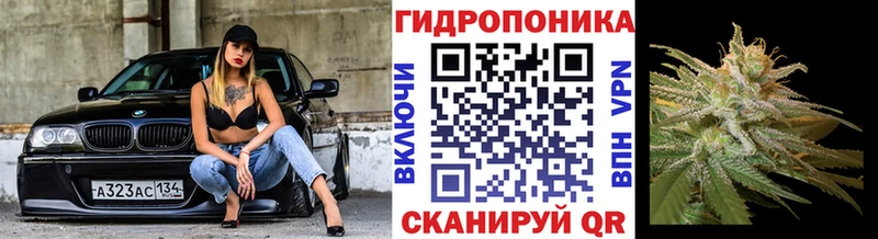 Бошки Шишки White Widow Оханск